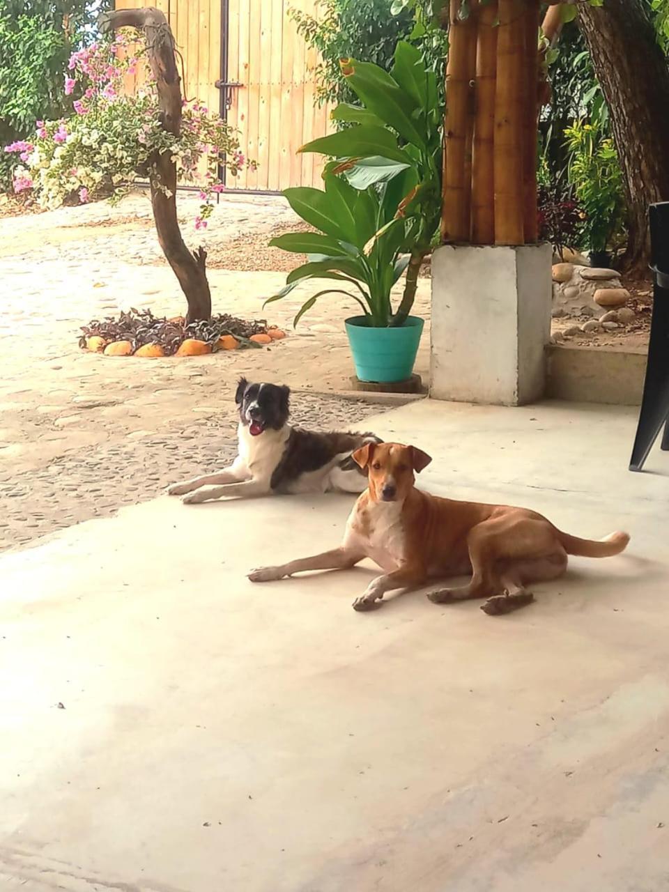 Avani Del Desierto Villavieja Kültér fotó